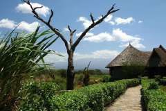 aa-lodge-amboseli3