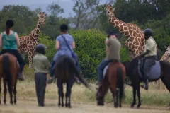 Aberdare Country Club Horseriding Kenya
