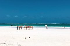 Diani-beach-g1