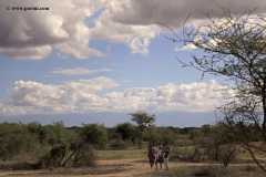 porini-amboseli-camp-gallery-image-40-1445003151