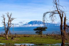 amboseli