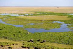 view-of-the-marsh-from-obsrervation-hill-amboseli-serena