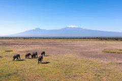 Angama-Amboseli-Amboseli-National-Park