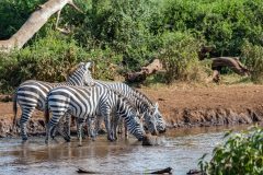 Angama-Amboseli-Kimana-Sanctuary