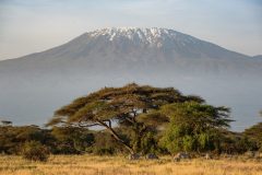 Angama-Amboseli-Mount-Kilimanjaro-view