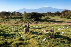 Angama-Amboseli-Mount-Kilimanjaro