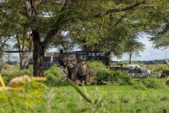 Angama-Amboseli-Pool-with-Elephant-photographed-by-Sammy-Njoroge