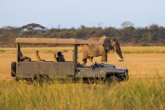 Angama-Amboseli-Safari-with-Elephant-photographed-by-Sammy-Njoroge