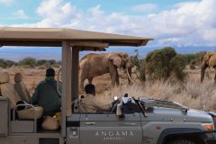 Angama-Amboseli-Safari-with-Super-Tusker-Elephant-photographed-by-Charlotte-Ross-Stewart