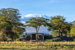 Angama-Amboseli-photographd-by-Sammy-Njoroge-—-Swimming-Pool-Entrance-2-landscape