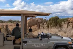 Angama-Amboseli-Safari-experiences