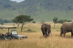 PHR_NBOBBSafari-game-drive-andBeyond-Bateleur-Camp