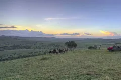 Borana-lodge-The-Safari-Collection-Game-Drives