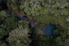 Borana-lodge-The-Safari-Collection-Ngare-Ndare-Forest-Arial