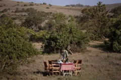 Borana-lodge-The-Safari-Collection-Picnic-1
