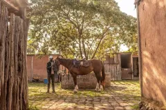 Borana-lodge-The-Safari-Collection-horse-riding-