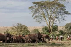 Borana-lodge-The-Safari-Collection-horse-riding-in-the-bush-
