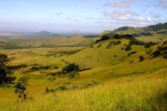 Chyulu-peponi-walk