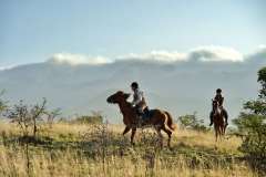 green-hills-of-africa