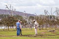 bush-walks-either-in