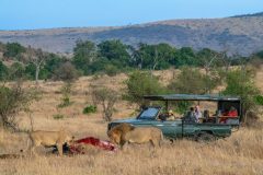 2019-cottars-experiences-15