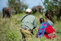 cottars-1920-experiences-elephant