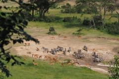 eagle-view-mara-naboisho-7-1920x1080