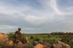 elephant-bedroom-camp-guard