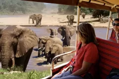 elephant-watch-camp-safaris1