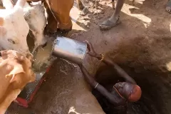 elephant-watch-camp-singing-wells