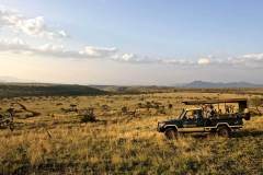 Lewa-Safari-Camp-Game-Drive-4