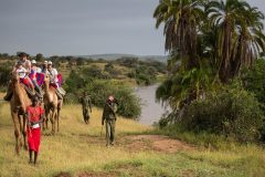 loisaba-tented-camp-activities-camel-trekking-along-the-ewaso-nyiro-river-c-silverless-366058DE7-19A5-3D24-75DA-8627A3E289E4