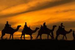 Elewana-Loisaba-Tented-Camp-activities-camel-trekking-Mario-Moreno-2