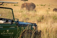 Elewana-Sand-River-Game-Drive-