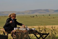 picnic-lunch-safari