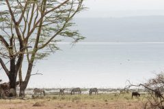 elcarito-1493186-unsplash-1024x683