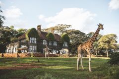 giraffe-manor-477840-original