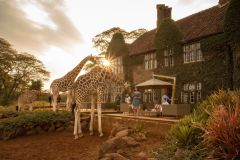 giraffe-manor-477847-original