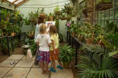 giraffe-manor-477851-original