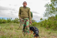 Anti-Poaching-scaled