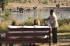 Breakfast-with-Elephants-1024x576