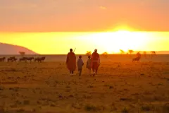 Kicheche-Mara-2019-11