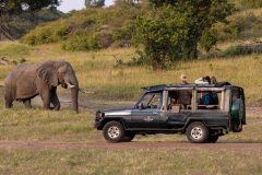 Kicheche-Mara-game-drive-2-1024x5761