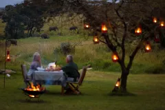 Kicheche-Mara-private-dinner-elephants