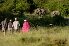 Kicheche-valley-bush-walk