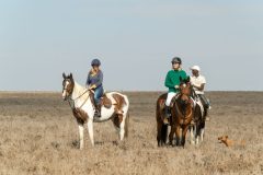 horse-ridindi-in-borana