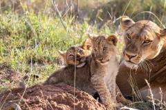 Borana-Ranch-Wildlife1