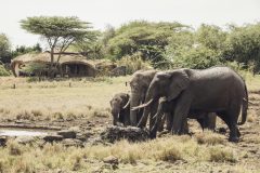 Lewa-house-Ellie-waterhole