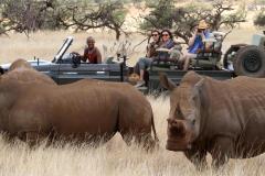 Lewa-Wilderness-Lodge-Game-Drives