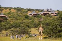 mahali-mzuri-Reviews
